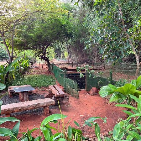 Bougan Villa Auroville Ngoại thất bức ảnh