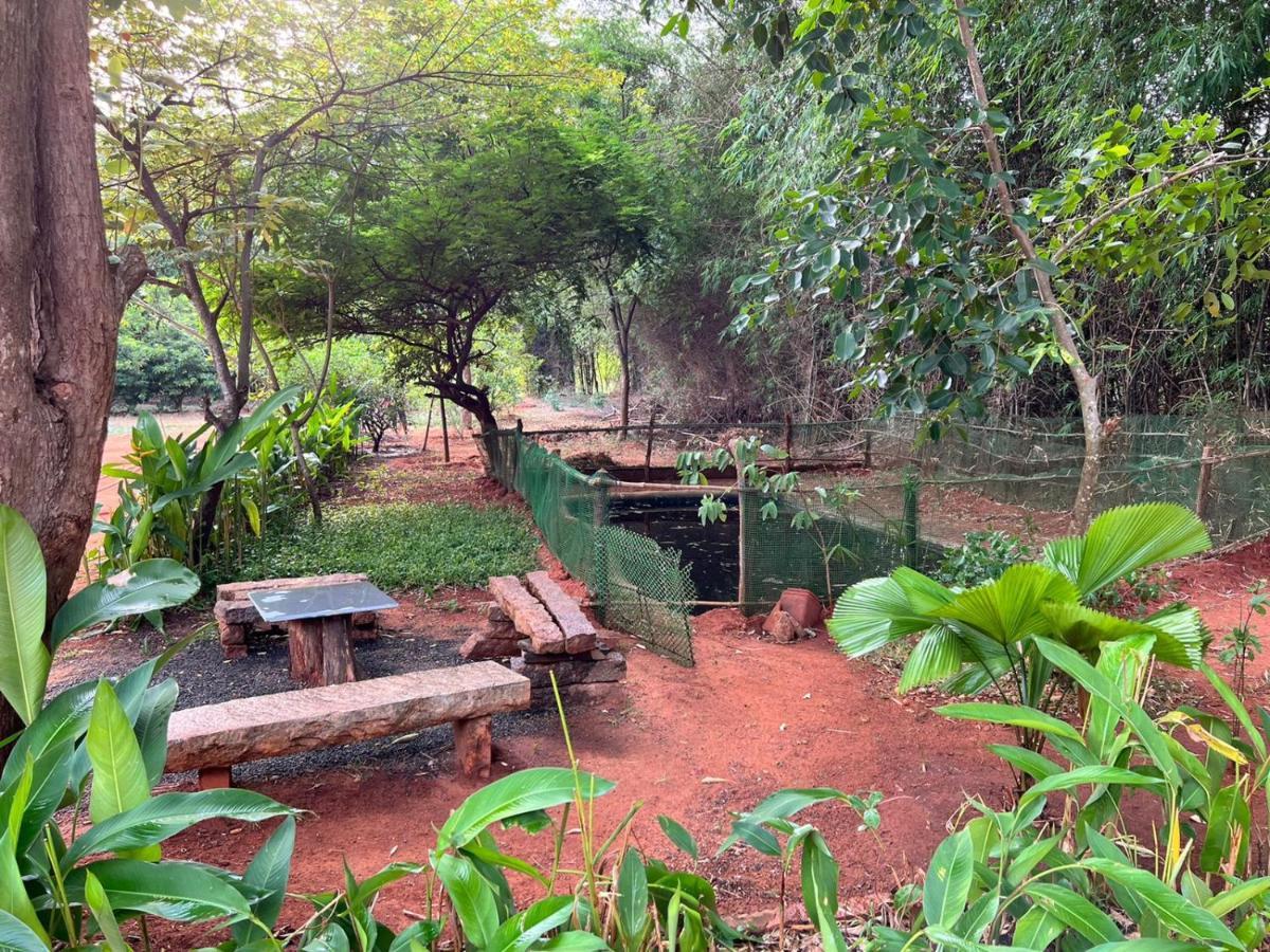 Bougan Villa Auroville Ngoại thất bức ảnh